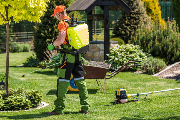 Best Pest Exclusion Services  in Crowley Lake, CA